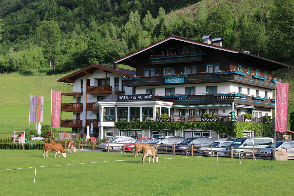 Landhaus Rohregger Нойкірхен-ам-Гросфенедігер Екстер'єр фото